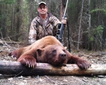 bear18_0